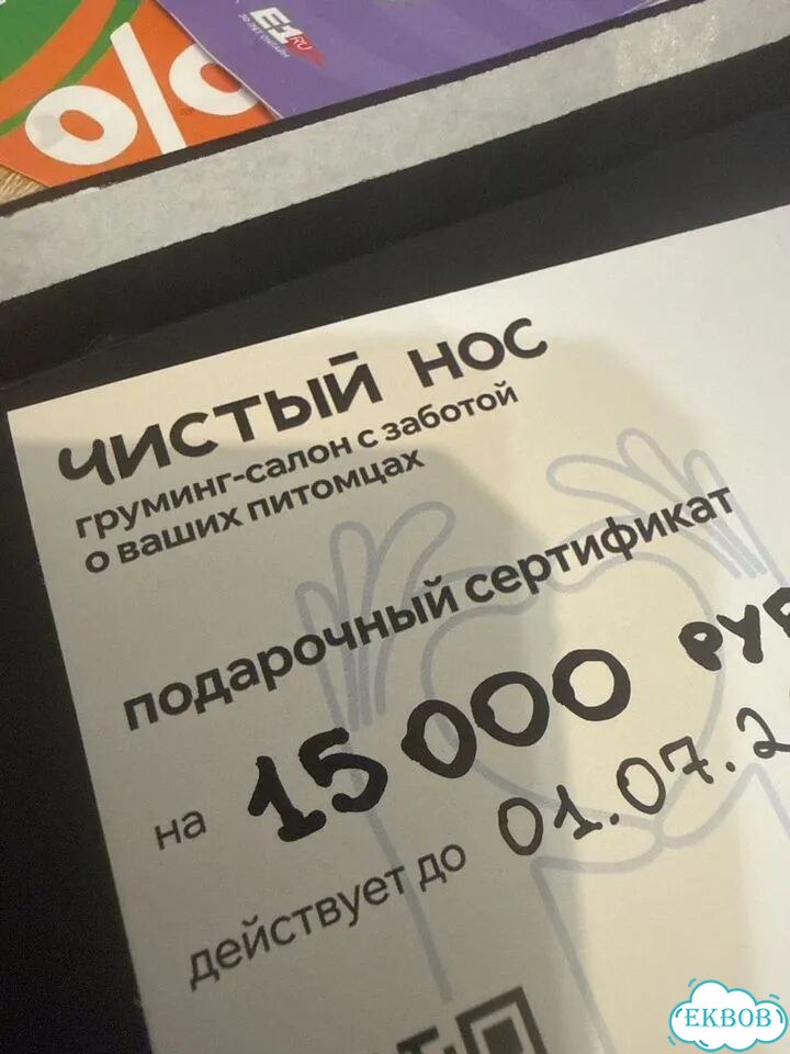 Подарочный сертификат груминг фото 1