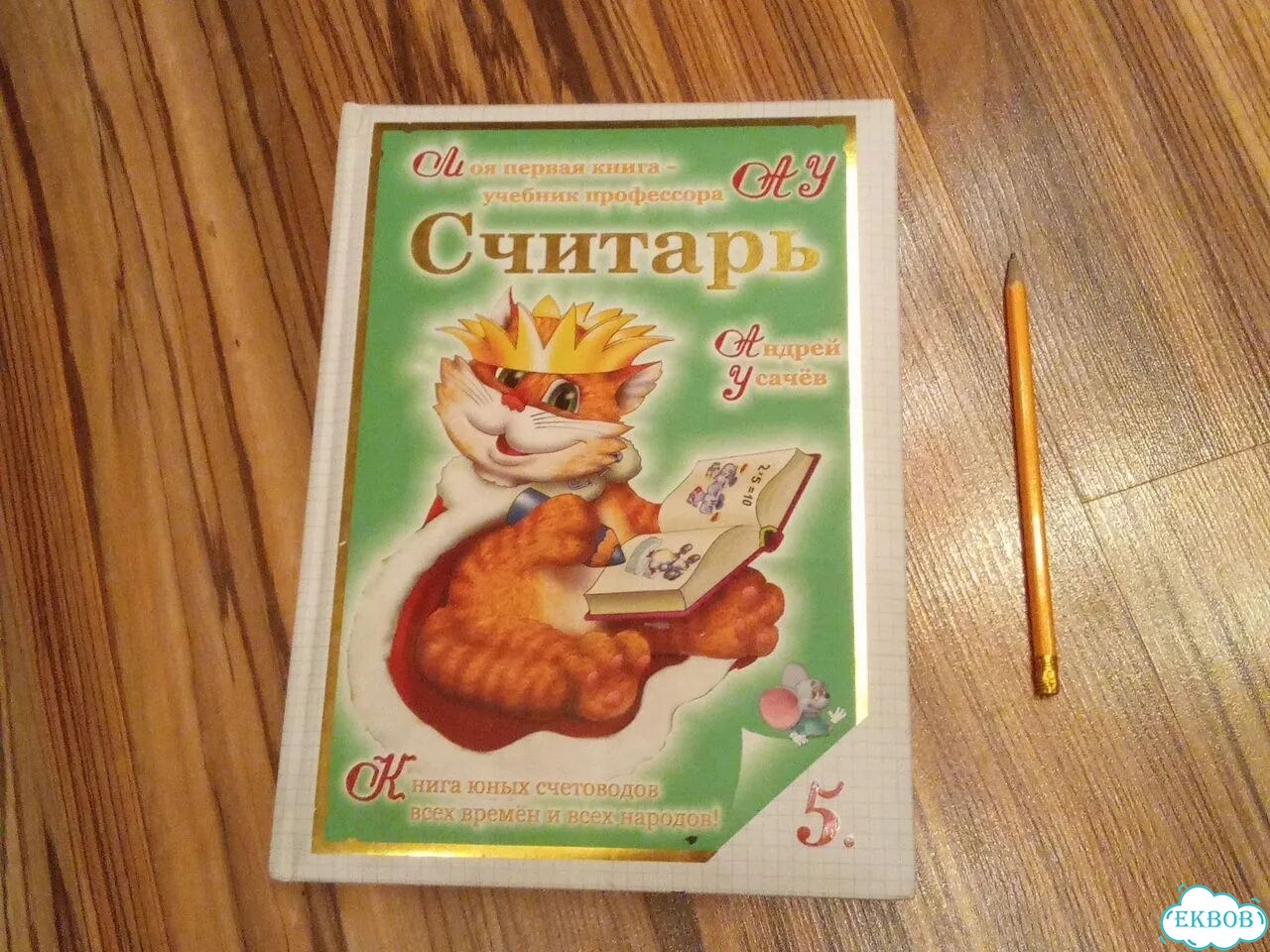 Книга юных счетоводов фото 1