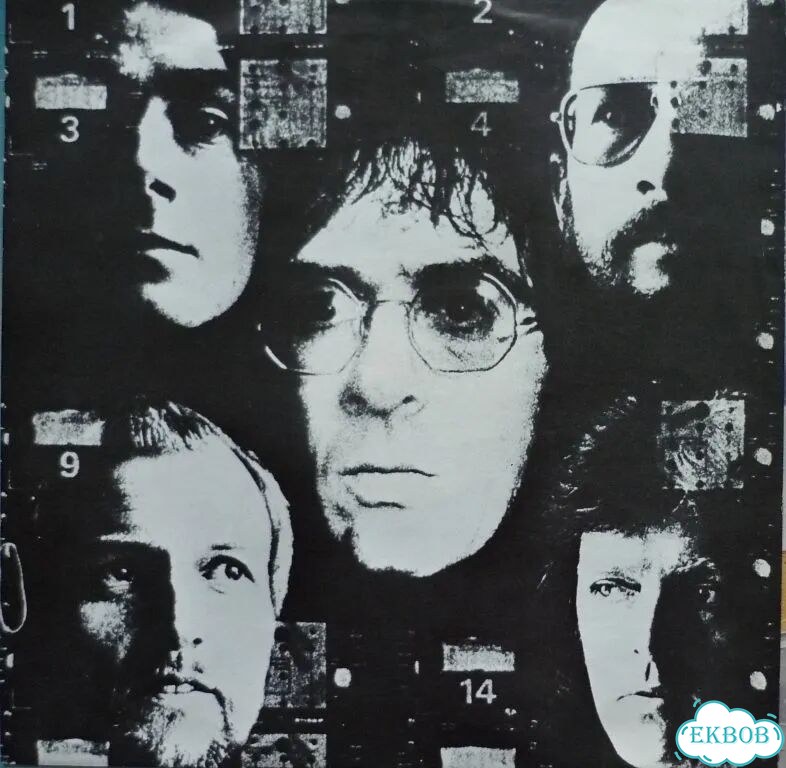Manfred Mann's Earth Band LP винил фото 3