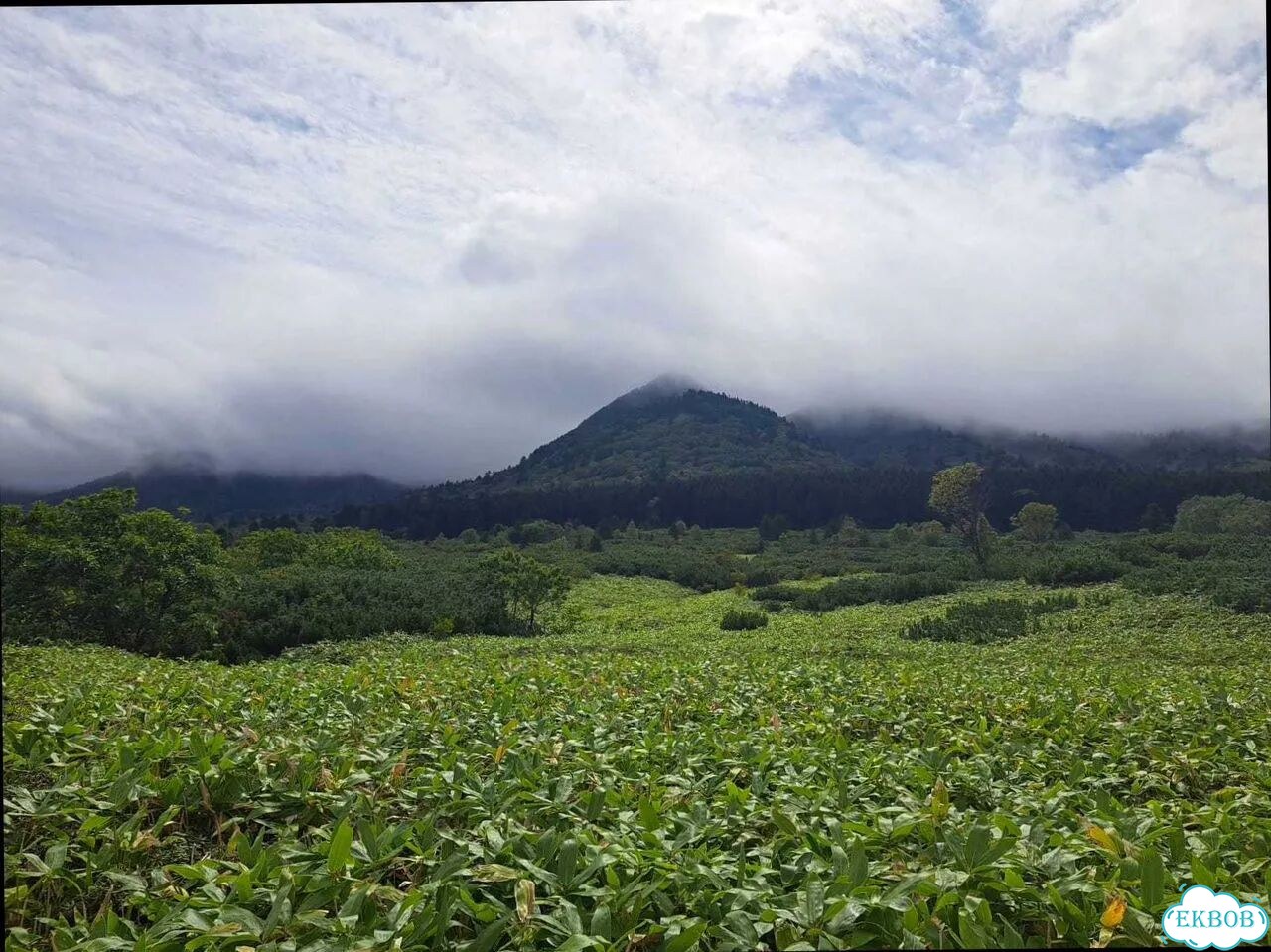 Сахалин 8 дн Только топ-места фото 4