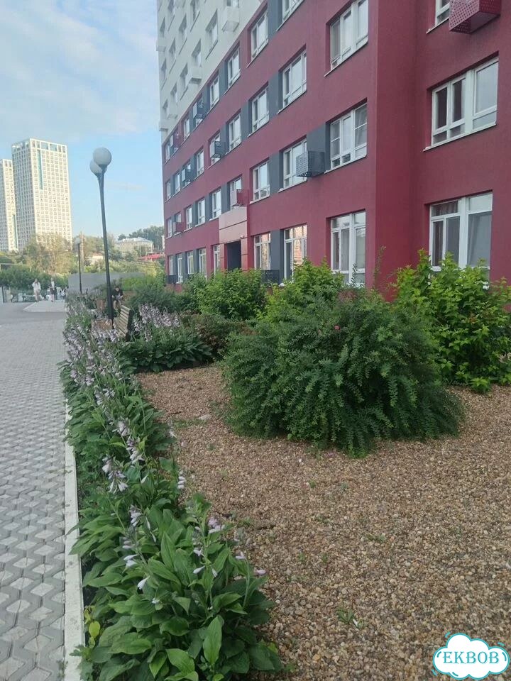 Квартира-студия, 19 м², 20/27 эт. фото 11