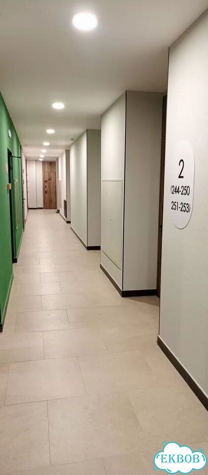 Квартира-студия, 29,4 м², 2/8 эт. фото 4