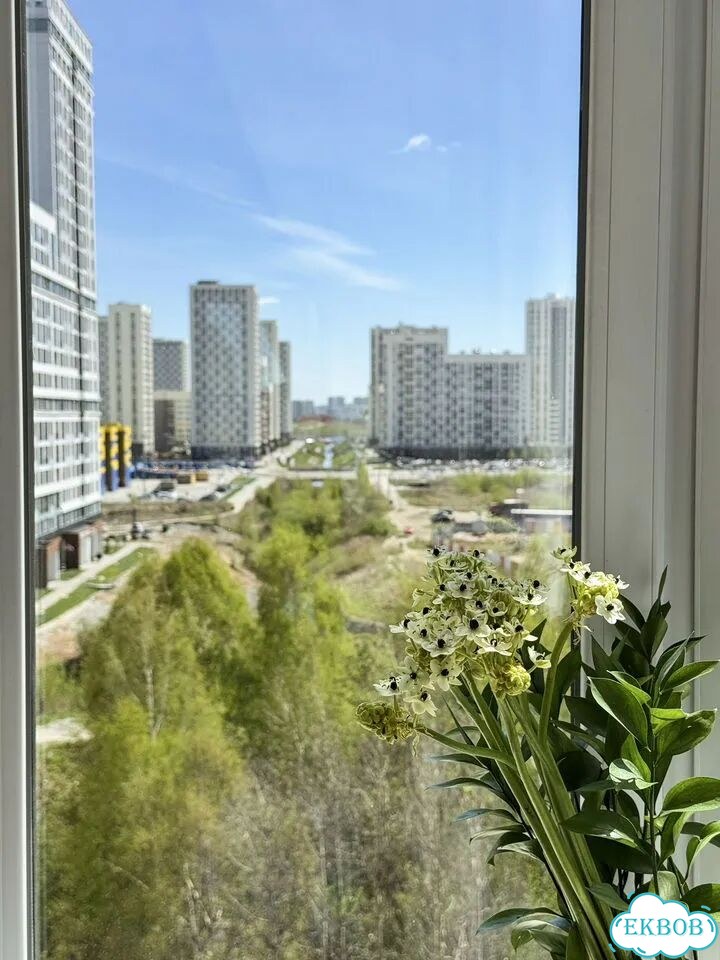 1-к. квартира, 47 м², 7/7 эт. фото 7