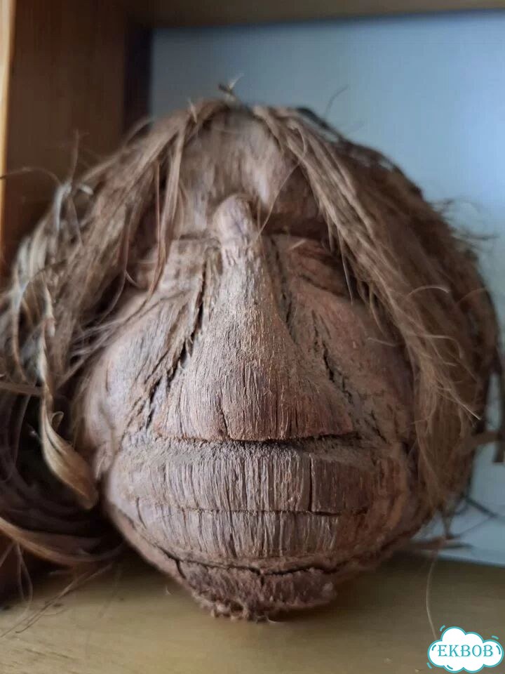 Голова из кокоса фото 1