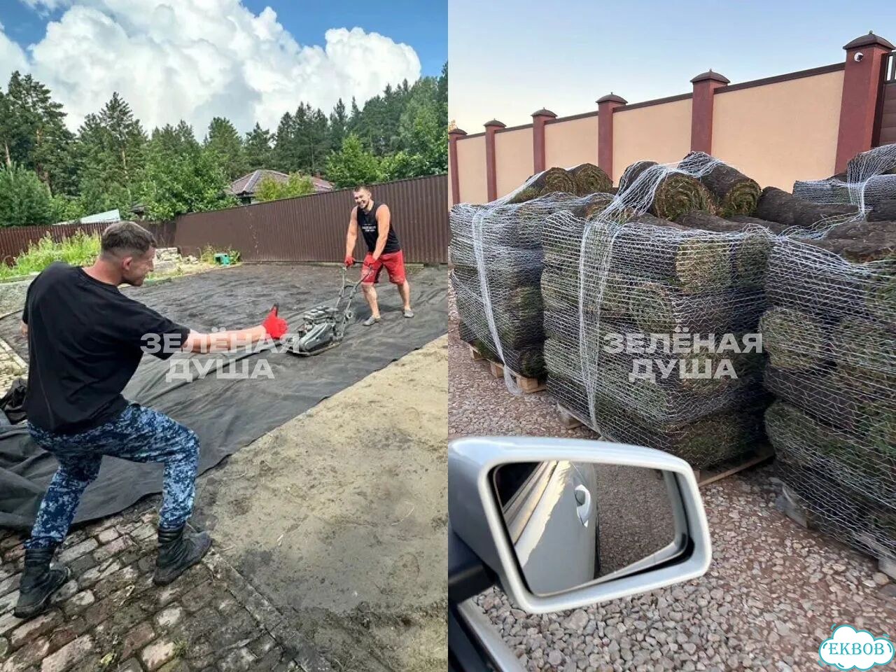 Рулонный газон. Озеленение. Благоустройство фото 1