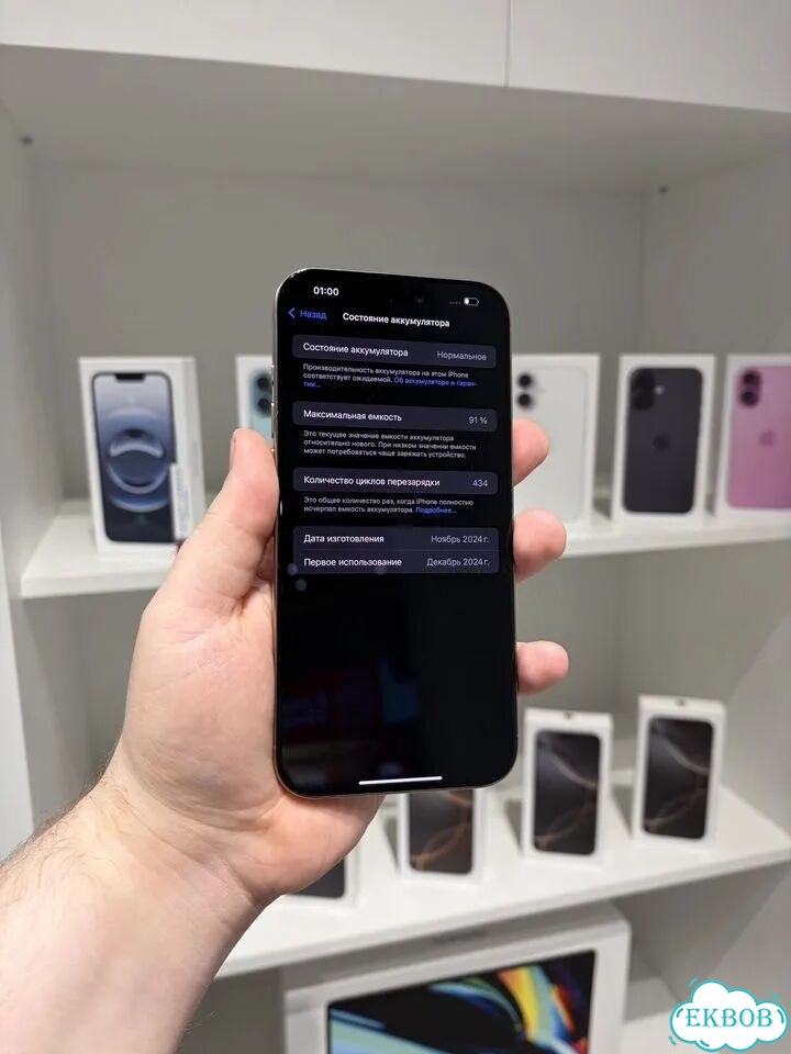 iPhone 16 Pro Max, 256 ГБ, SIM + eSIM фото 2