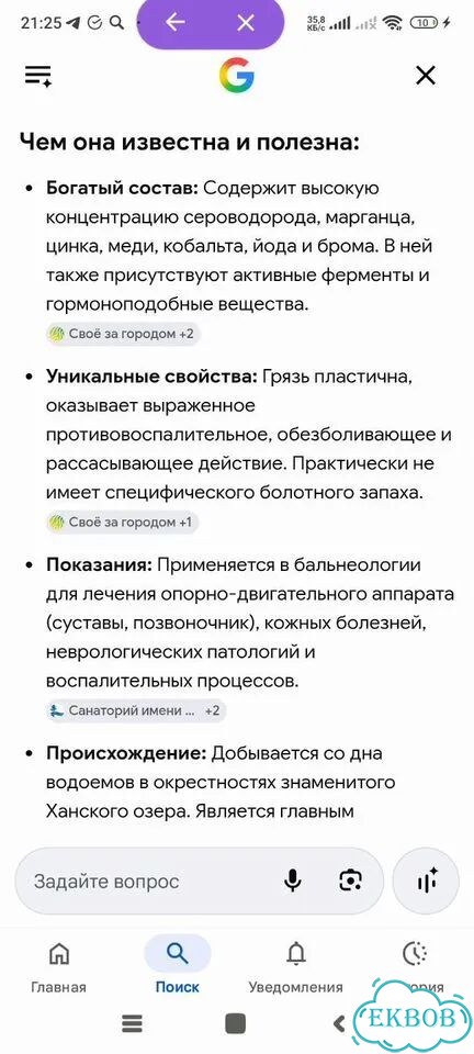 Грязь лечебная Ейская сульфидно иловая фото 3