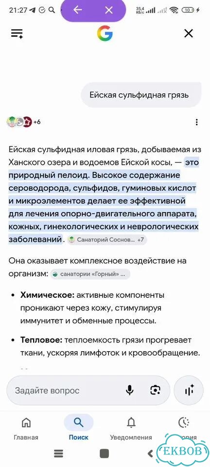 Грязь лечебная Ейская сульфидно иловая фото 4
