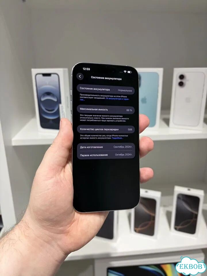 iPhone 16 Pro Max, 256 ГБ, SIM + eSIM фото 2