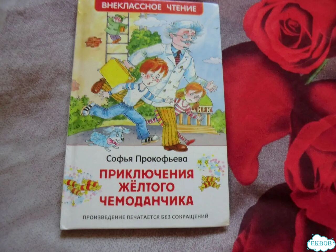 Приключения желтого чемоданчика. Повесть-сказка фото 1