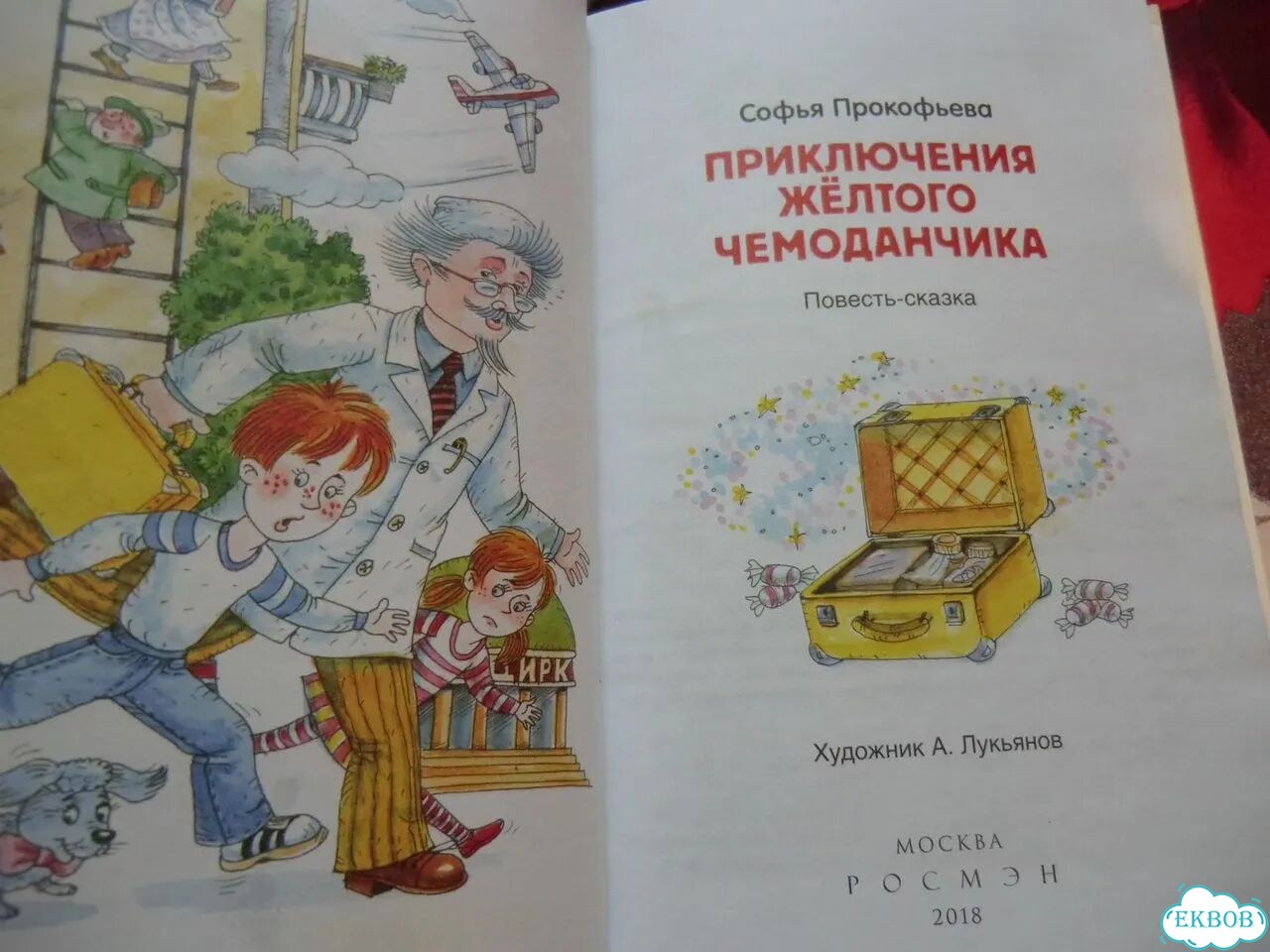 Приключения желтого чемоданчика. Повесть-сказка фото 5