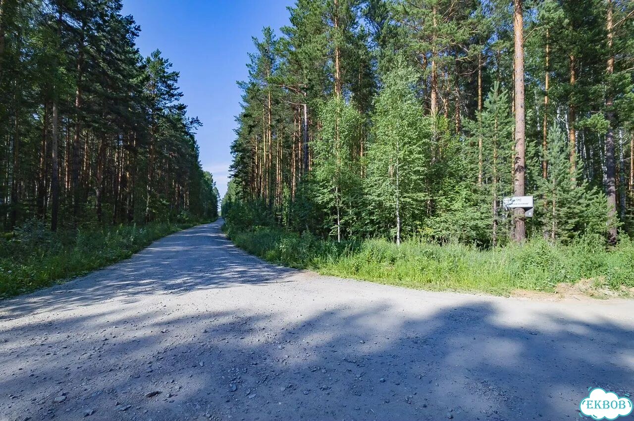 Дача 36 м² на участке 11 сот. фото 1
