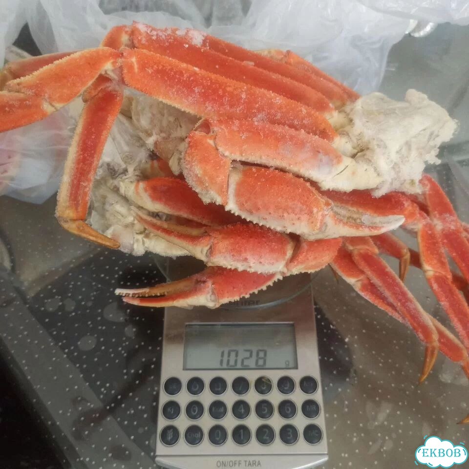 Клешни краба стригуна фото 1