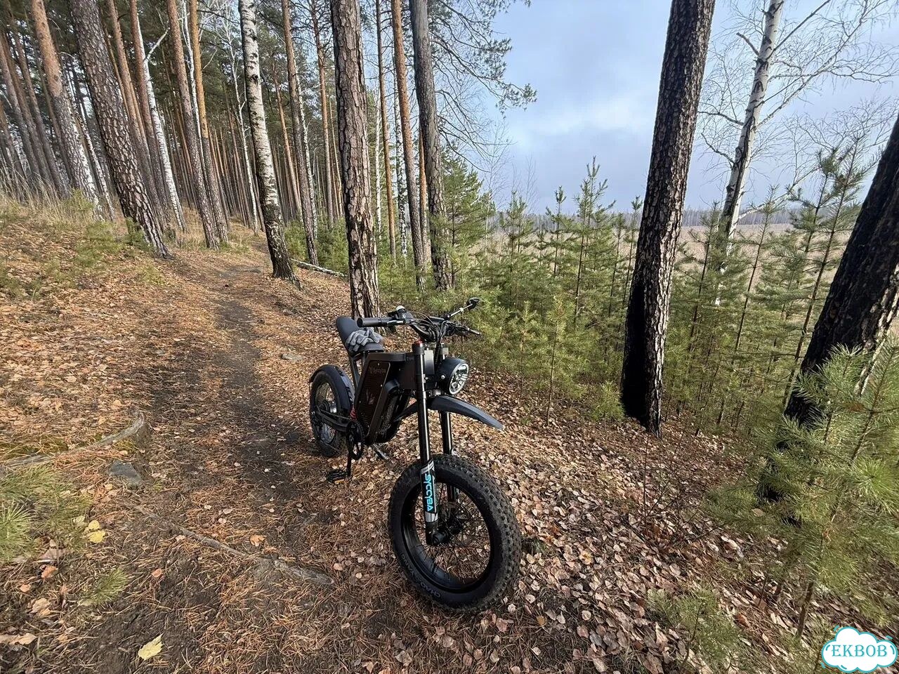 Syccyba impulse x21 pro фото 2
