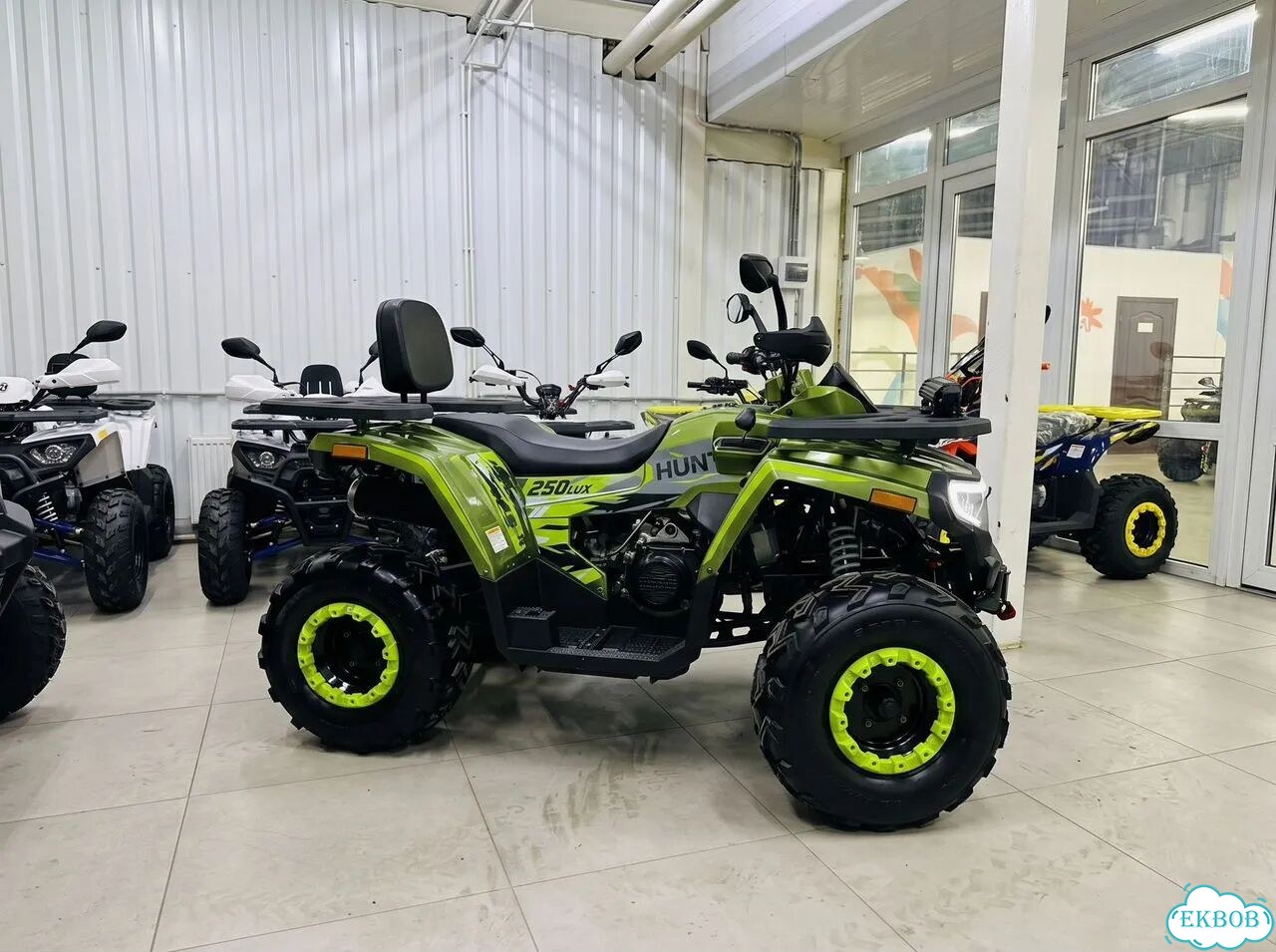 ATV ARMIS 250, 2026 фото 3