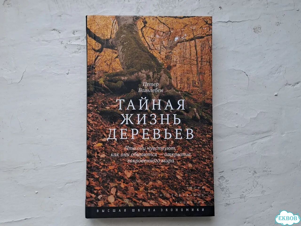 Книга Тайная жизнь деревьев фото 1