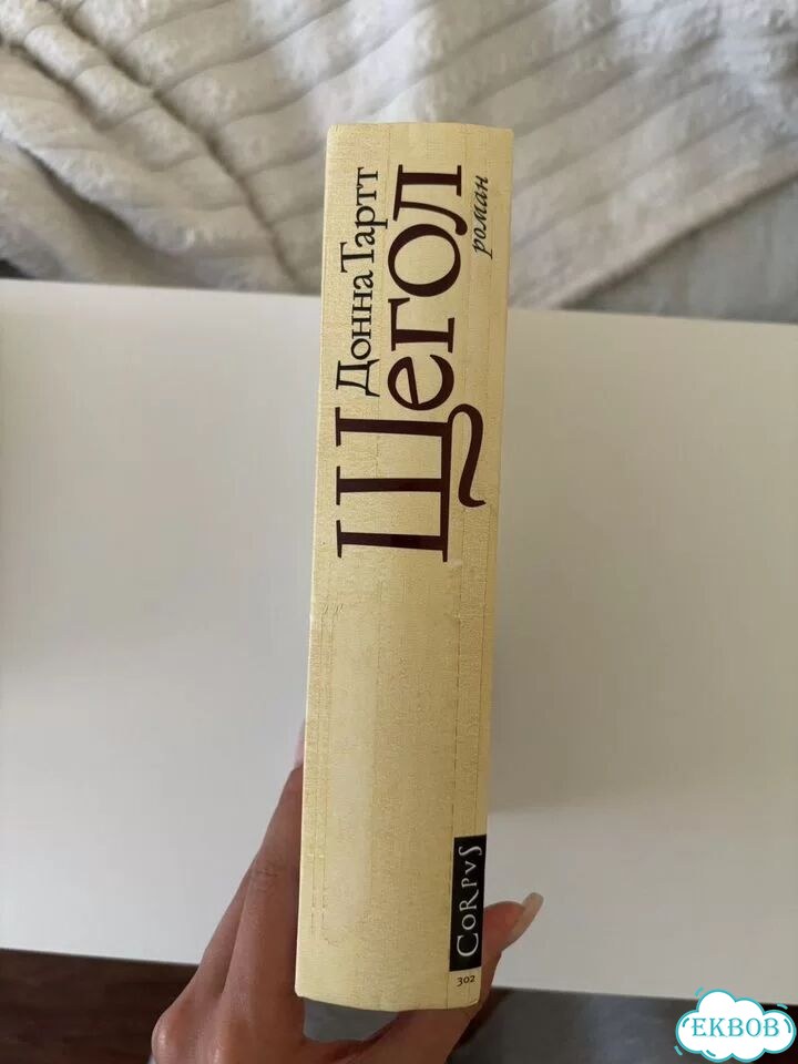 Щегол книга фото 3