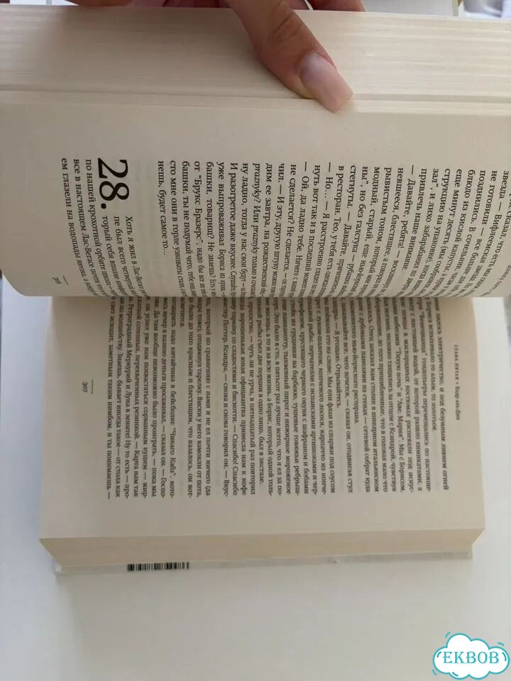 Щегол книга фото 5
