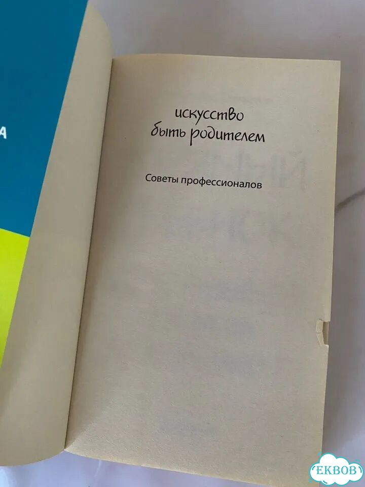 Роберт Дж. Маккензи Упрямый ребёнок фото 2