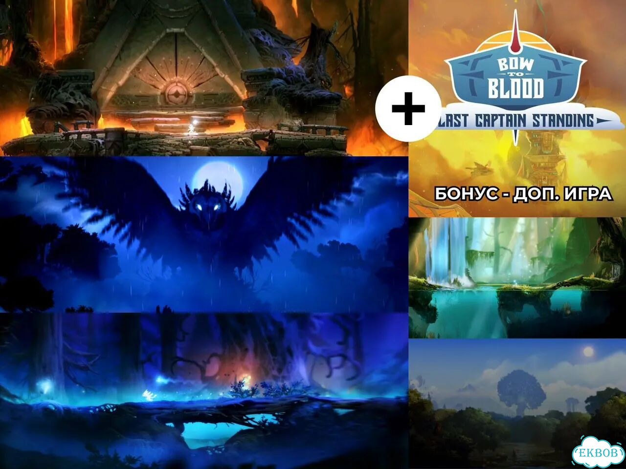 Ori and the Blind Forest: Definitive Switch 1/2 фото 2