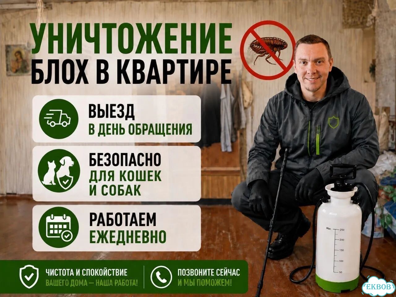 Уничтожение блох в квартире фото 1