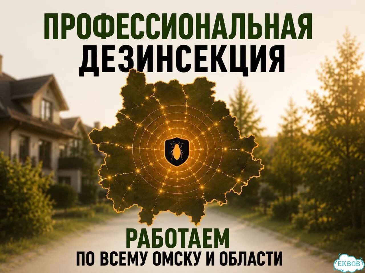 Уничтожение блох в квартире фото 3