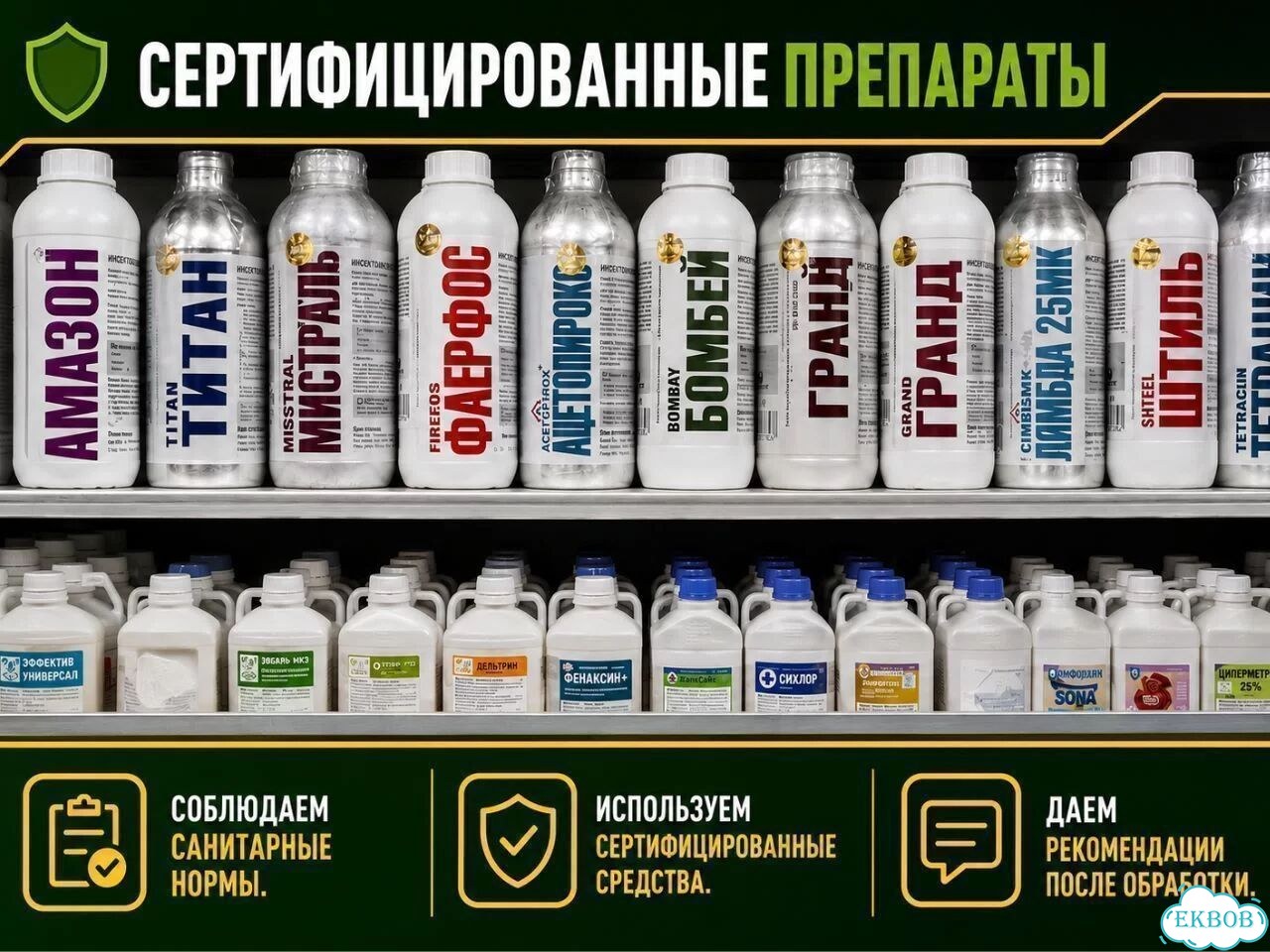 Уничтожение блох в квартире фото 4