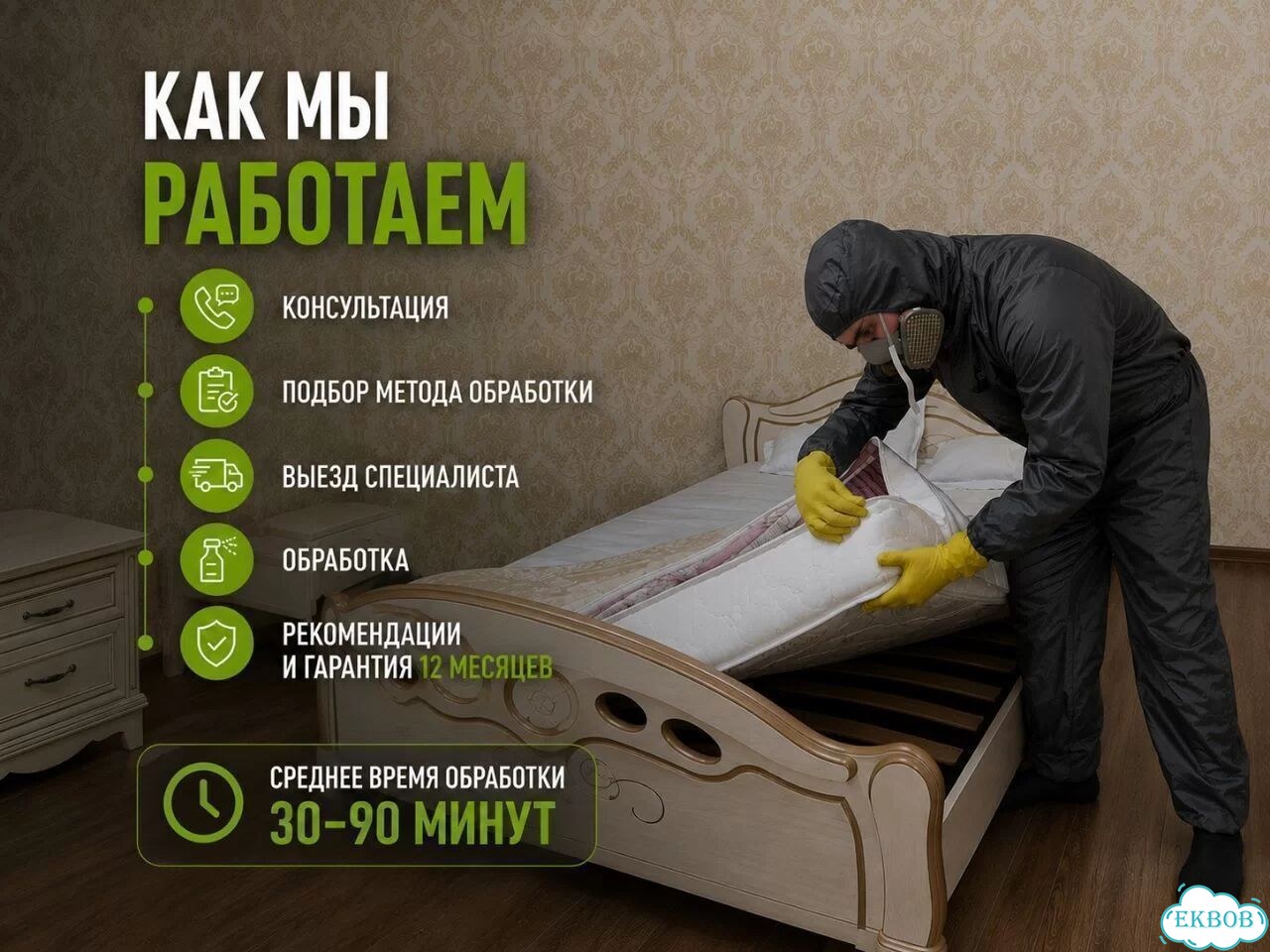 Уничтожение блох в квартире фото 5
