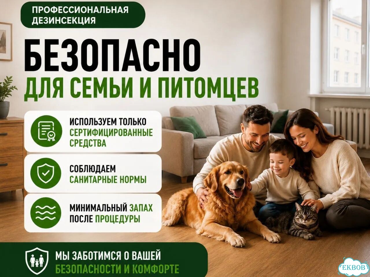 Уничтожение блох в квартире фото 8