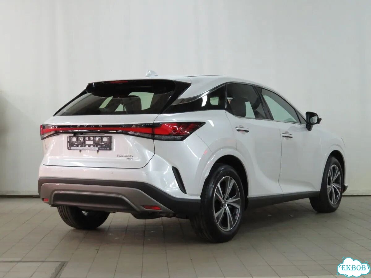 Lexus RX 2.0 AT, 2026, 14 км фото 5