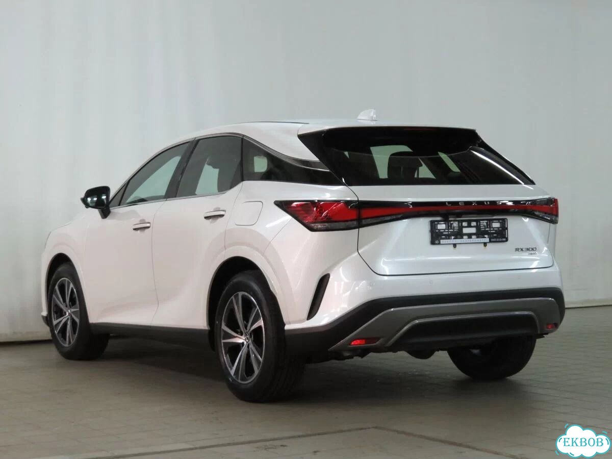 Lexus RX 2.0 AT, 2026, 14 км фото 7