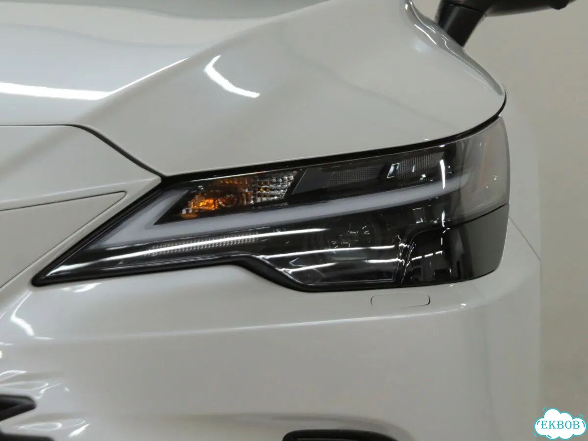 Lexus RX 2.0 AT, 2026, 14 км фото 9