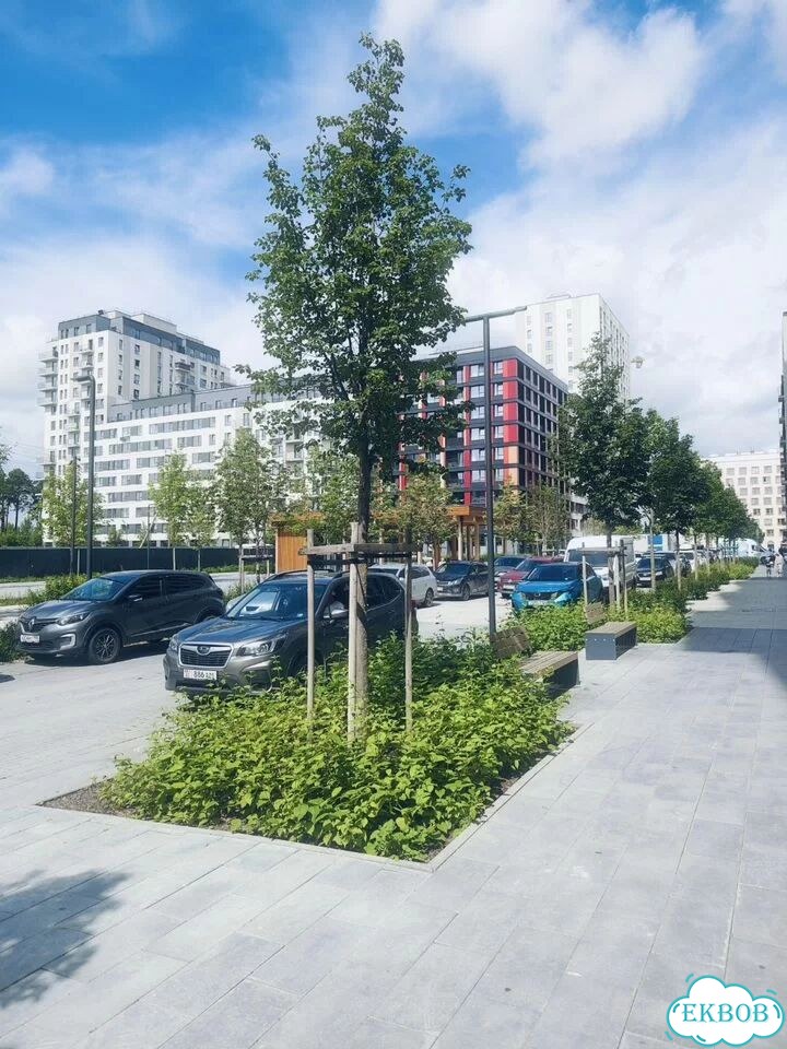 1-к. квартира, 38 м², 9/9 эт. фото 28