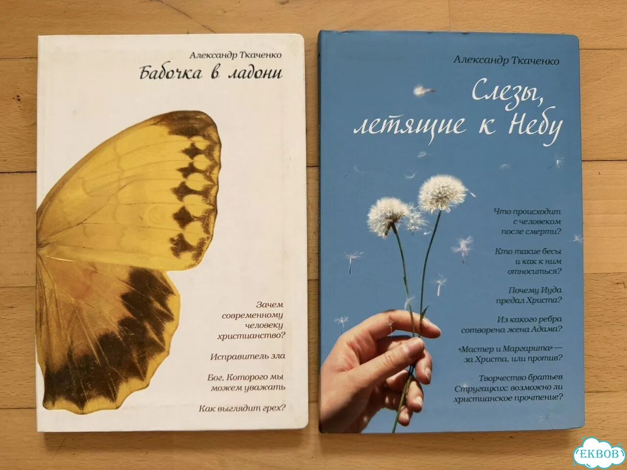 Книги Ткачев Сысоев и другие фото 4