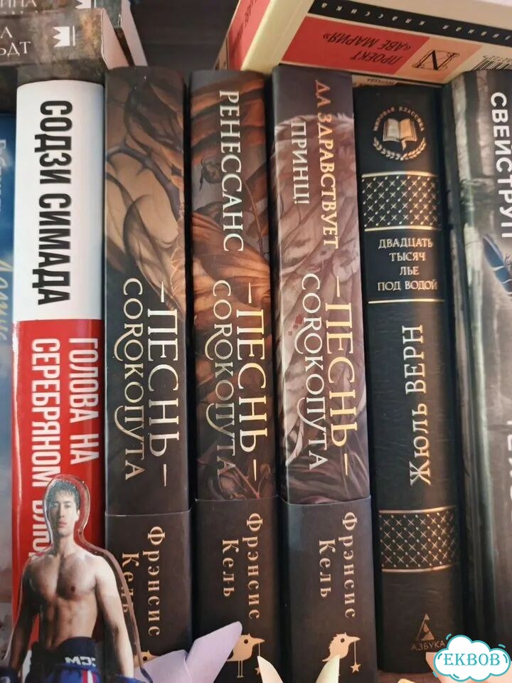 Продам книги Песнь сорокопута, Медные монеты фото 2