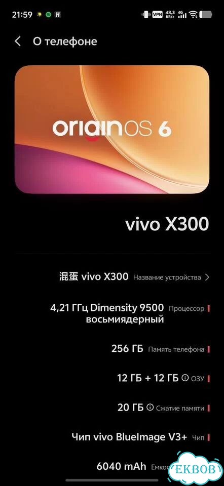 vivo X300, 12/256 ГБ, 2 SIM фото 1