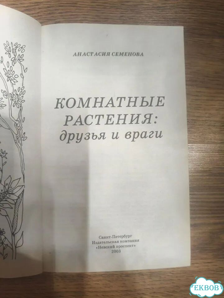 Комнатные растения: друзья и враги. 2003г фото 4