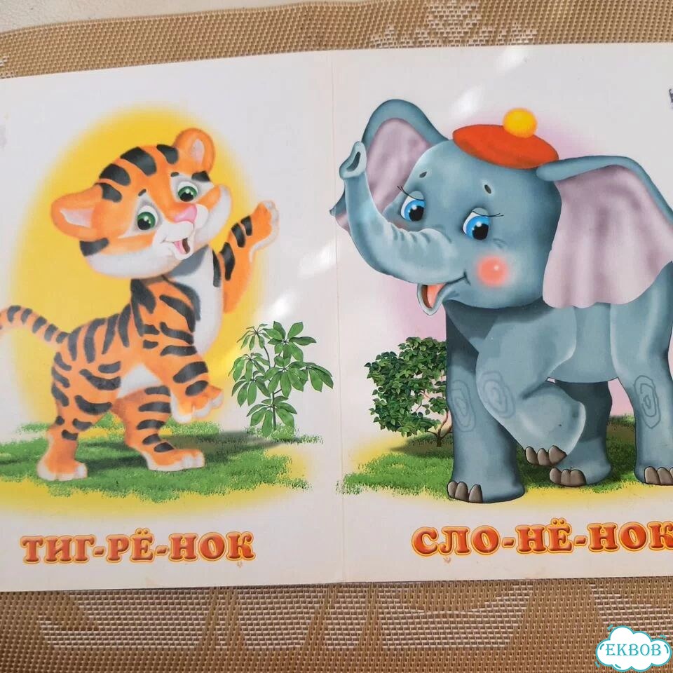 Детские книги с твёрдыми страницами фото 3