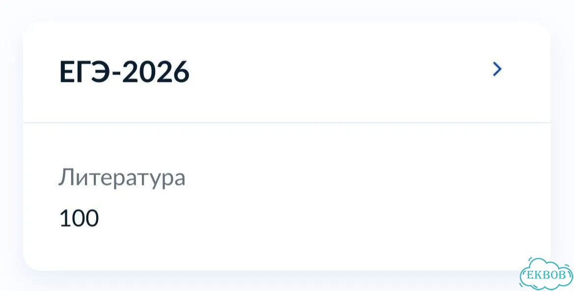 Репетитор ОГЭ по литературе фото 2