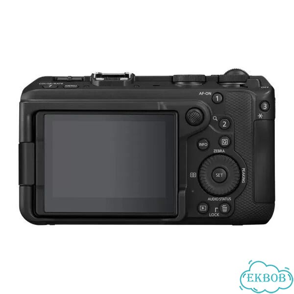 Цифровой фотоаппарат Canon EOS R6 V Body фото 3