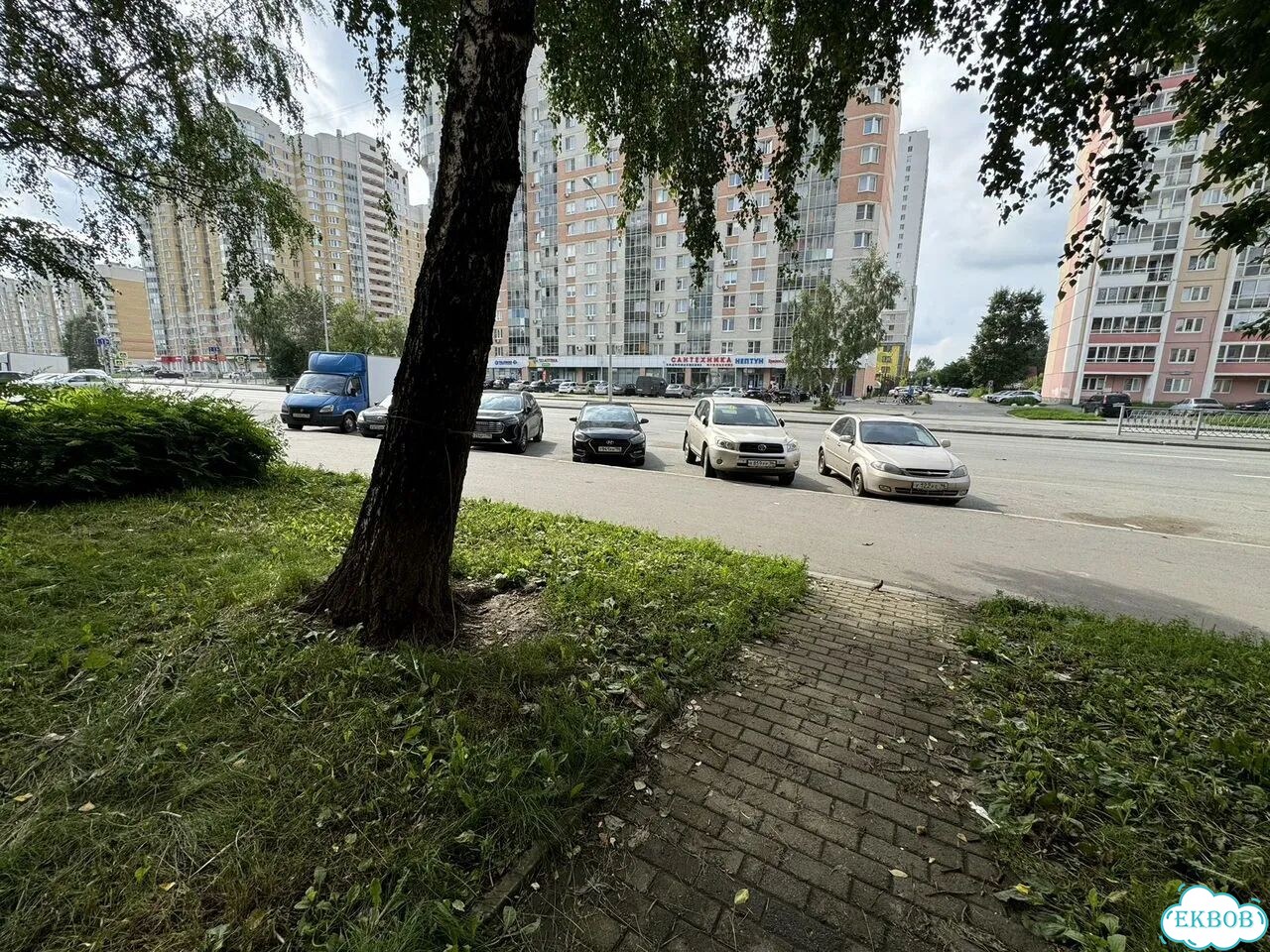 Свободного назначения фото 11