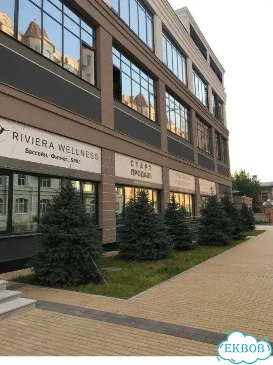 Абонемент в фитнес клуб Riviera wellness фото 7
