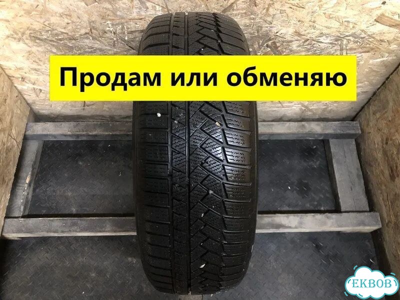 Continental WinterContact TS 850 P 205/55 R17 91H фото 1