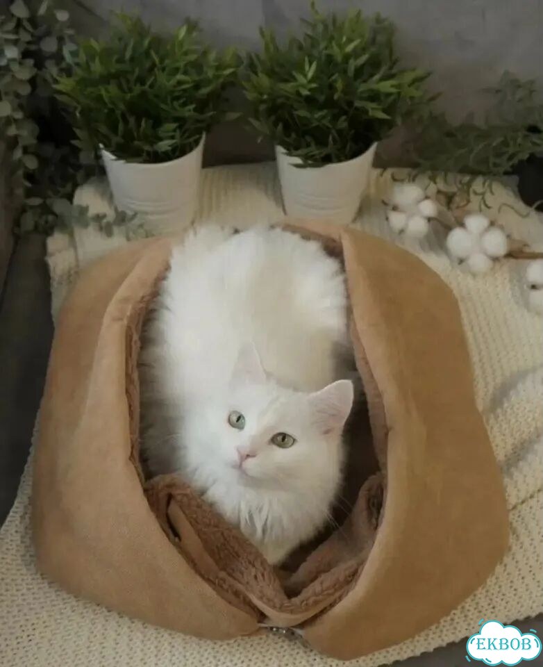 Набор для кошки: лежанка, лоток, игрушка, чесалка фото 1