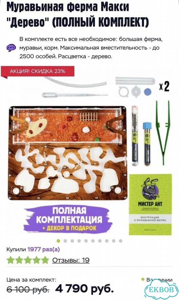 Муравьиная ферма с муравьями фото 3