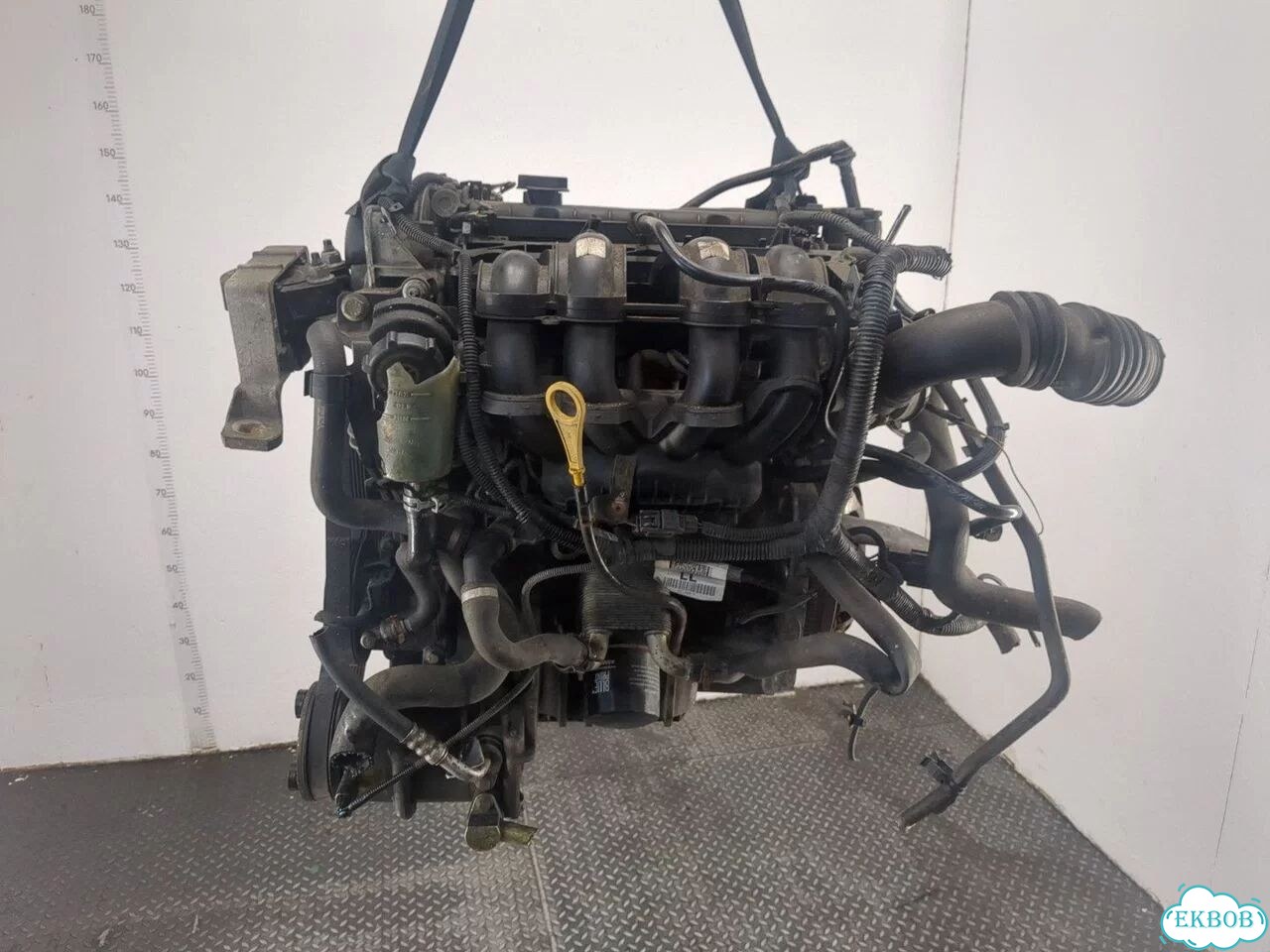 Двигатель Ford C-Max hxda фото 5