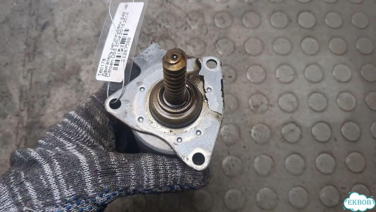 Двигатель регулировки фаз, valvetronic Citroen DS3 фото 5