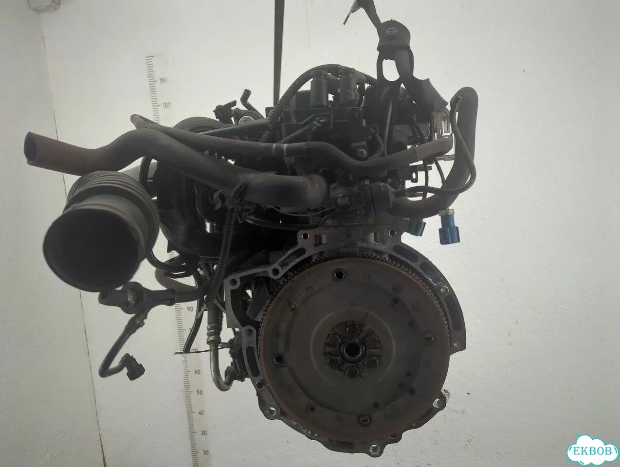 Двигатель Ford Focus 2 hwda, hwdb фото 4