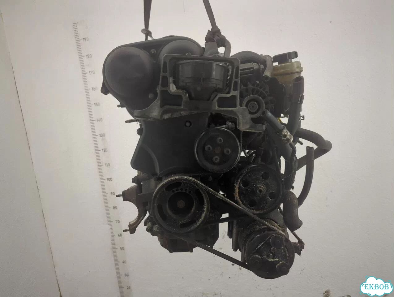 Двигатель Ford Focus 2 hwda, hwdb фото 6