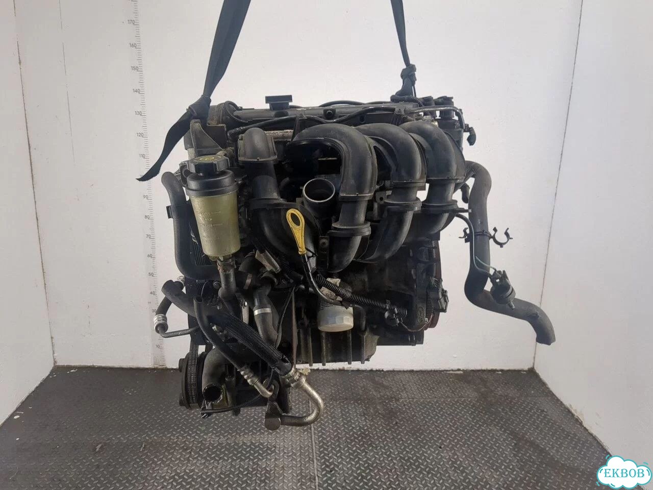 Двигатель Ford Focus 2 hwda, hwdb фото 3